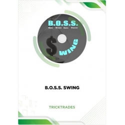 B.O.S.S. Tricktrades Swing option Trading index trading (Total size 3.80 GB Contains 6 files)